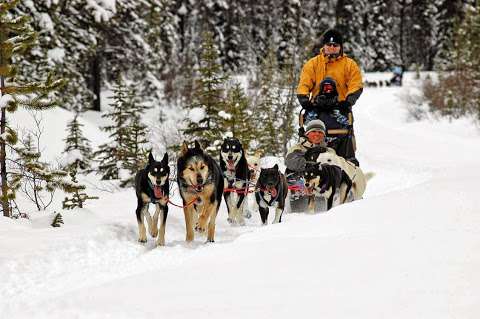 Mountain Dog Sled Tours